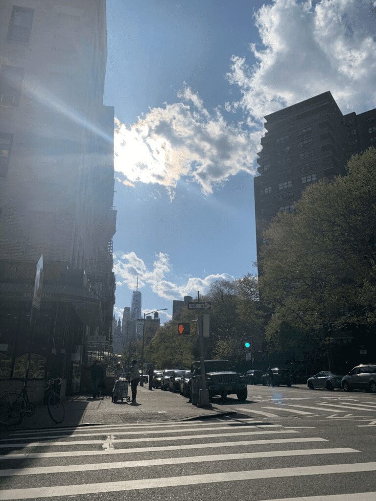 Sunny run