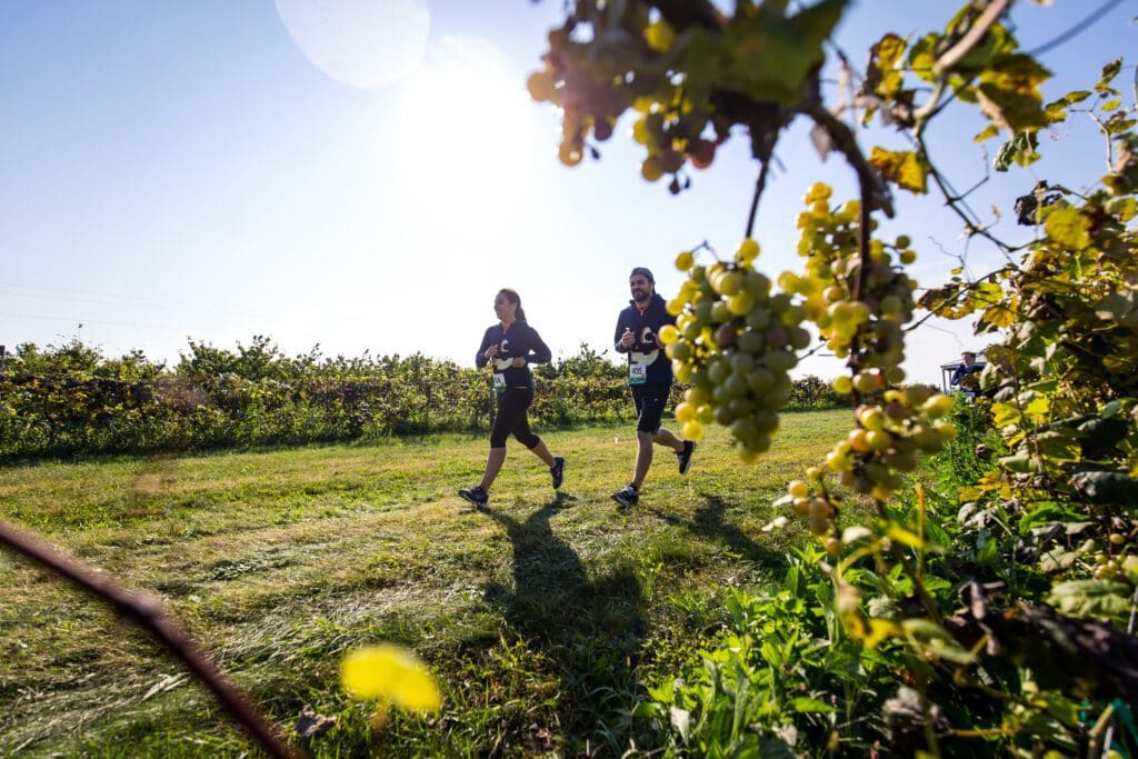 running past grapes